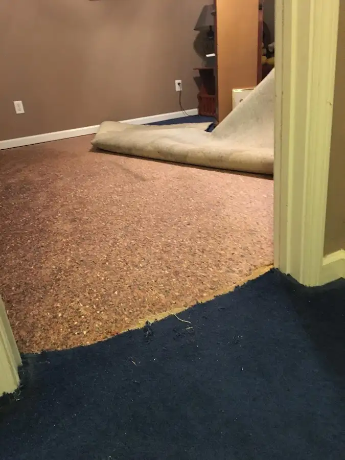 Carpet pad removal revealing water damage during Water Mitigation Services in Hitchcock