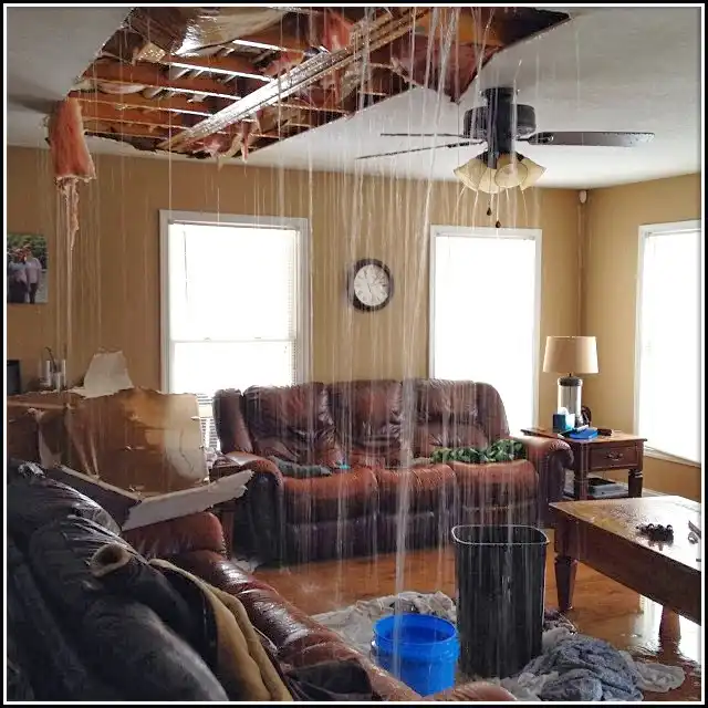 Water Damage Restoration services in Hitchcock, TX