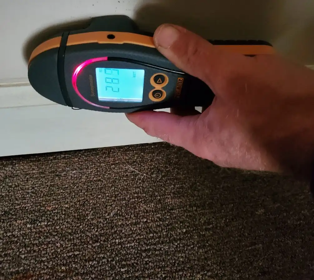 Moisture detection at baseboard during Sewage Cleanup & Sanitation in Hitchcock